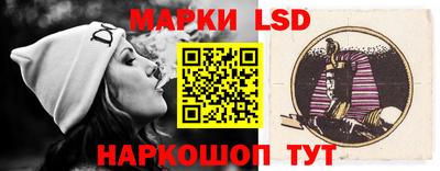 мдпв Камышлов
