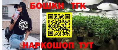 индика Канаш