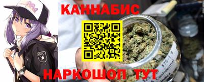 мдпв Камышлов