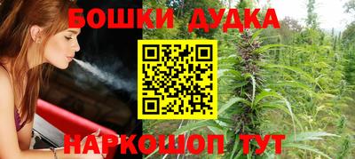 мдпв Камышлов