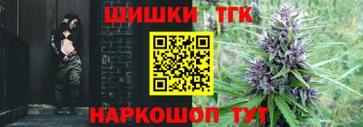 мдпв Камышлов