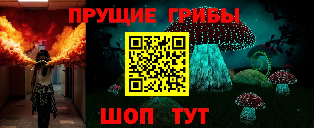 Псилоцибиновые грибы Cubensis  Вход с VPN  Галлюциногенные грибы Psilocybe  купить наркотики сайты  Гагарин 
